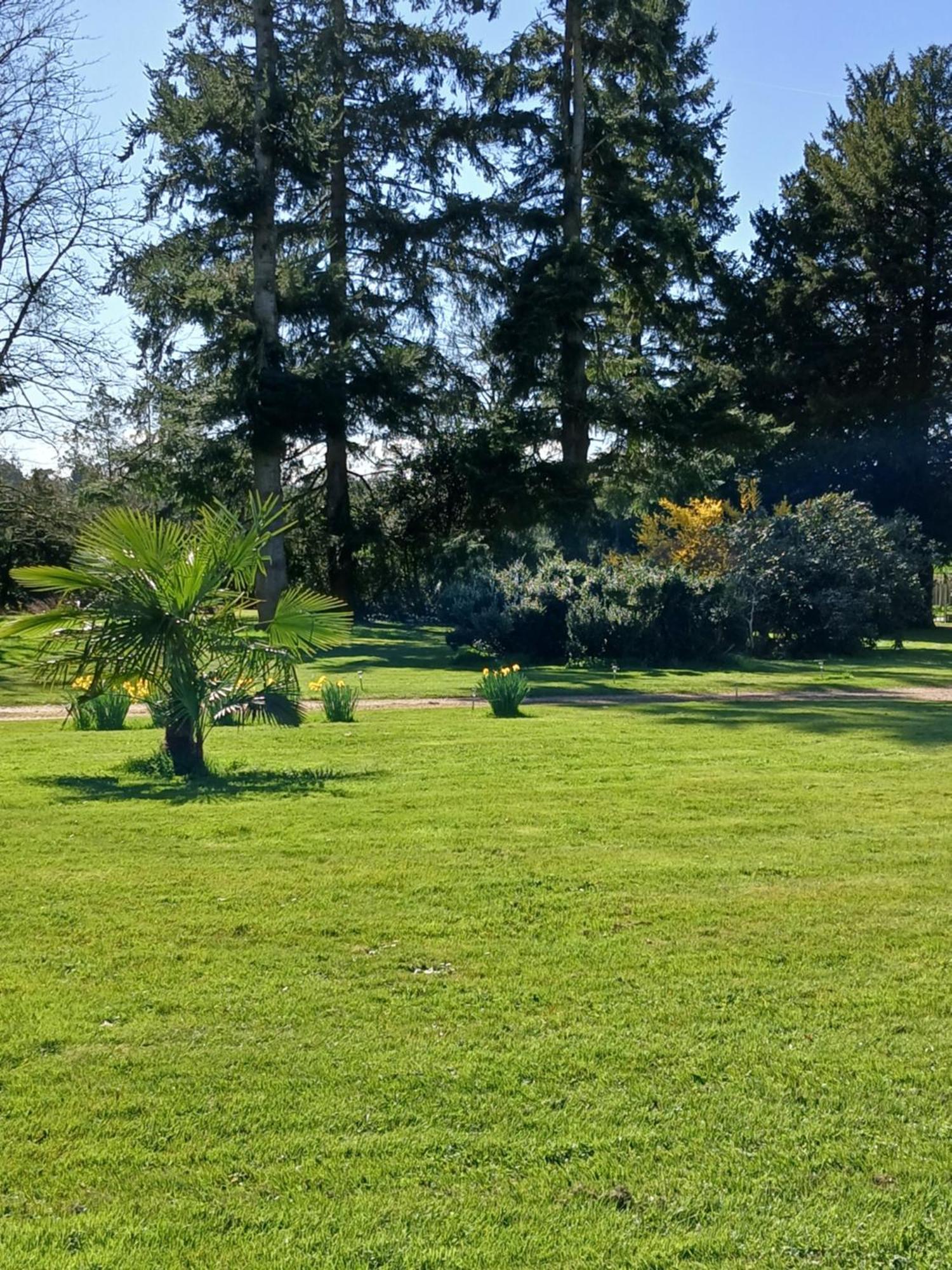 مبيت وإفطار Le Pin  Domaine Des Ifs المظهر الخارجي الصورة